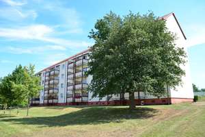 Charme von damals, Style von heute - 3 Raumwohnung wieder hübsch – Otto-Nuschke-Str. 14, 6526 Sangerhausen – Vorschaubild 1