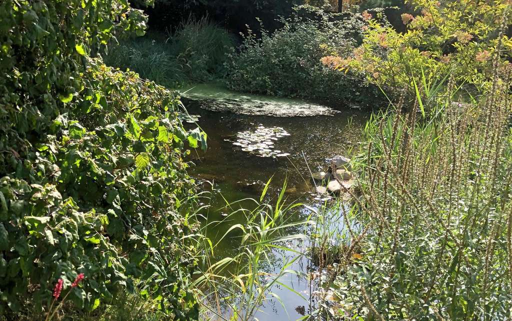 Immobilie in Drebkau - Wohnen am Wasser – Finnische Blockhäuser in idyllischer Parkanlage - Bild 1