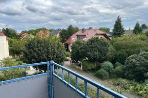 Helle, gemütliche Wohnung in beliebter Lage Tolkewitz - 2-Zimmer-Wohnung