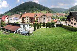 Außergewöhnliches EFH mit Einliegerwohnung und großem  Grundstück in Calmbach (Bad Wildbad) – Die vollständige Adresse der Immobilie erhältst du vom Anbieter., 75323 Bad Wildbad – Vorschaubild 4