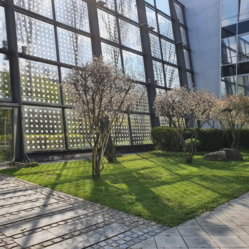 STOCK - Attraktive und lichtdurchflutete Büros