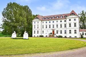 Absolute Rarität! Herrschaftliches Schloss-Anwesen in ländlich-idyllischer Lage von Mecklenburg! – Die vollständige Adresse der Immobilie erhältst du vom Anbieter., 19217 Wedendorfersee – Vorschaubild 12