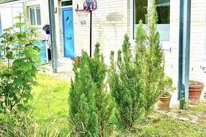Exklusive Gartenwohung am Alsterlauf – Die vollständige Adresse der Immobilie erhältst du vom Anbieter., 22297 Alsterdorf, Hamburg – Vorschaubild 4