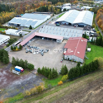ca. 16.500 qm Lager- / Logistikflächen | Rampe + ebenerdig | ca. 5,00 m - 9,50 m UKB