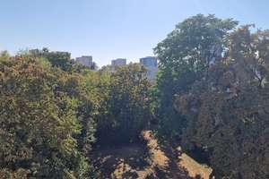 Provisionsfrei* Ruhige 3,5-Zimmer-Wohnung mit Südbalkon & Grünblick - Parkseite direkt unterm Dach i – 68309 Vogelstang, Mannheim – Vorschaubild 10