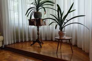 Stilvolles ZFH mit Turmerker, Wintergarten, Dachterrasse & Sanierungspotenzial in Leubnitz-Neuostra – Die vollständige Adresse der Immobilie erhältst du vom Anbieter., 1219 Leubnitz-Neuostra, Dresden – Vorschaubild 41