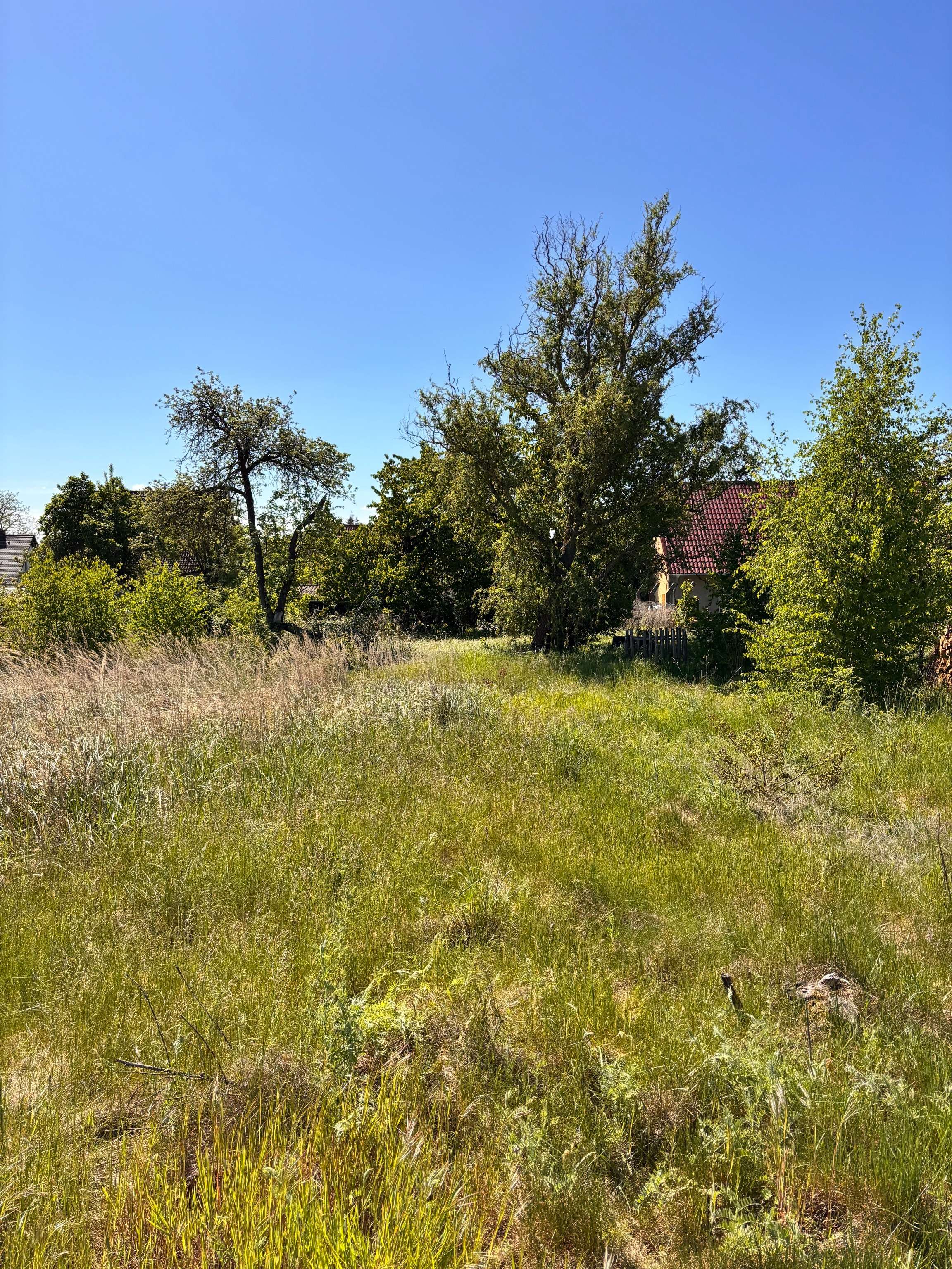 Haus mit Potenzial in Handwerkerhände abzugeben in Coswig, Ortsteil Hundeluft, Wittenberg Kreis – Bild 2