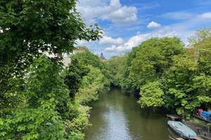 Lichtdurchflutetes Wohlfühl-Zuhause in Braunschweigs Herzen zum Einziehen, Durchatmen und Ankommen – Die vollständige Adresse der Immobilie erhältst du vom Anbieter., 38102 Viewegsgarten-Bebelhof, Braunschweig – Vorschaubild 19