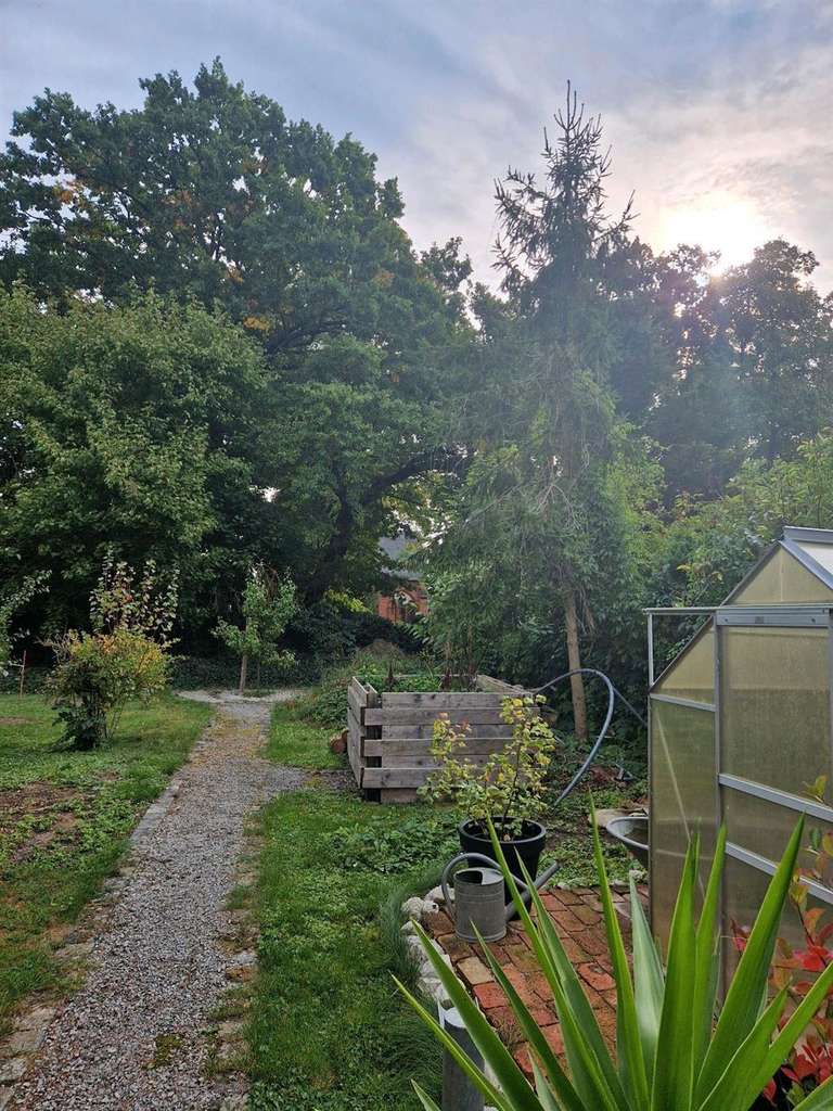 Immobilie in Ebeleben - Einfamilienhaus in ruhiger Wohnlage mit ca. 971 m² großem Grundstück - Bild 2