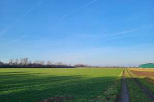 BEZUGSFREI: 2-FAMILIENHAUS MIT 2 GARAGEN UND TOLLEM GARTEN IN ROMMERSKIRCHEN-ANSTEL ZU VERKAUFEN... – Am Rosenend 5, 41569 Rommerskirchen – Vorschaubild 36