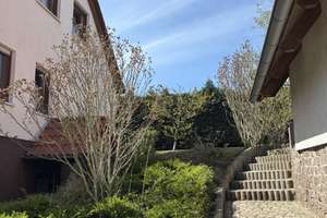 Traumhaftes Sonnengrundstück in Hanglage am Dorfrand von Starbach mit Weitsicht – Rüsseiner Str. 16, 1683 Ketzerbachtal – Vorschaubild 7
