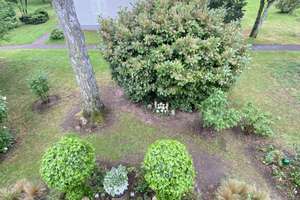 Keine Käuferprovision – 2 Wohnungen (1 frei, 1 vermietet) + DG-Ausbaureserve – Tiergartenstr. 20 D, 30559 Kirchrode, Hannover – Vorschaubild 5