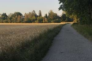 Familienfreundliche Gartenwohnung in begehrter Lage von München Trudering – Die vollständige Adresse der Immobilie erhältst du vom Anbieter., 81827 Waldtrudering, München – Vorschaubild 34
