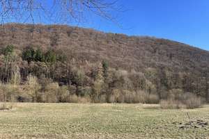 Einfamilienhaus am Ortsrand von Marsberg – Die vollständige Adresse der Immobilie erhältst du vom Anbieter., 34431 Marsberg – Vorschaubild 33