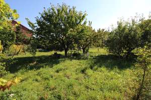 Property thumbnail 6