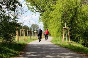 Property thumbnail 25