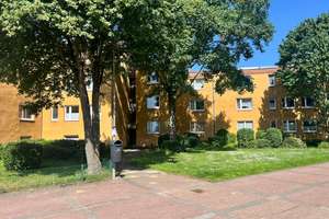 „Mehr wohnen, weniger suchen“ – Barkenberger Allee 55, 46286 Dorsten – Vorschaubild 4