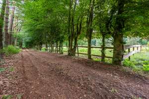 Freiheit trifft auf Natur – über 17.500 m² für Ihre Ideen, Visionen, Träume und Projekte – Die vollständige Adresse der Immobilie erhältst du vom Anbieter., 25693 Gudendorf – Vorschaubild 11