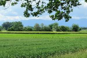 Bergblick pur! Exklusiver Landsitz im Pfaffenwinkel, Weilheim – Weilheim-Schongau (Kreis) – Vorschaubild 6