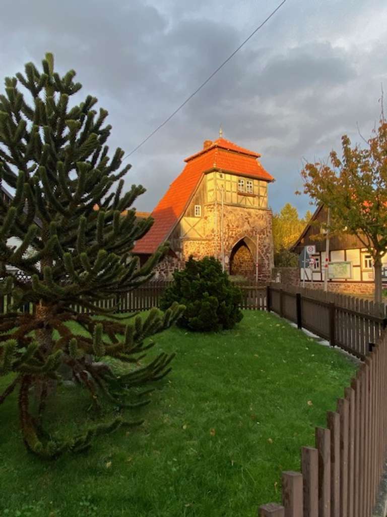 Neustadt/Harz, Heilklimatischer Luftkurort, Bauland für EFH