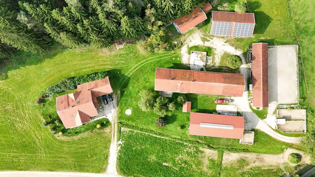 Immobilie in Haiming - Einzigartiger Pferdehof in traumhafter Alleinlage – Naturparadies mit Wiesen, Wald und Pferdehaltung - Bild 4