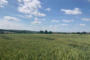 Baustellenberatung am Sonntag, 14.06.2026, Treffpunkt 12 Uhr, Bochumer Landstr. 396 in Freisenbruch – Die vollständige Adresse der Immobilie erhältst du vom Anbieter., 45279 Freisenbruch, Essen – Vorschaubild 7