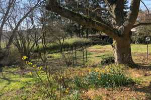 Gepflegtes Haus - tolle Naturlage - für Tierliebhaber – Alzey-Worms (Kreis) – Vorschaubild 1