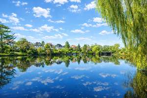 Property thumbnail 20