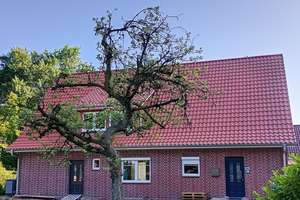 Erstbezug nach Kernsanierung, Schönes Haus mit Garten, energieeffizient saniert – Die vollständige Adresse der Immobilie erhältst du vom Anbieter., 49624 Löningen – Vorschaubild 3