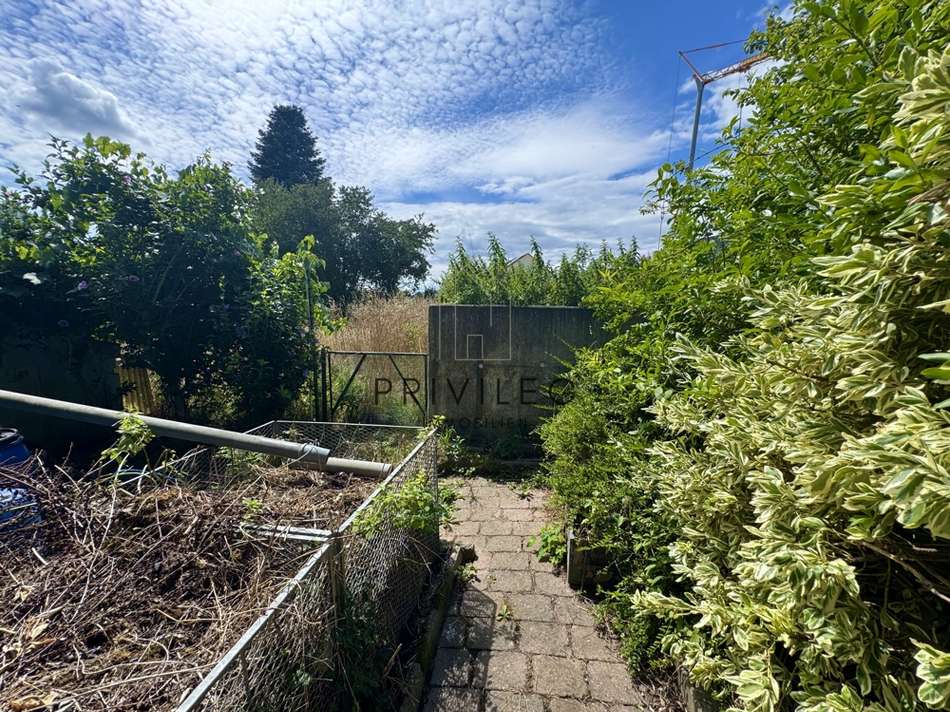 Gartenlandschaft