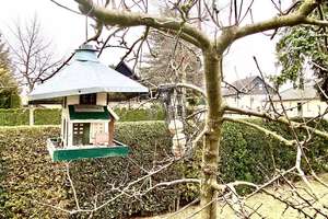 Property thumbnail 15