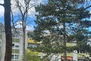 Gut geschnittene 3 -Zimmerwohnung KEINE ERBPACHT! – Brandenburger Straße 32, 68309 Vogelstang, Mannheim – Vorschaubild 7