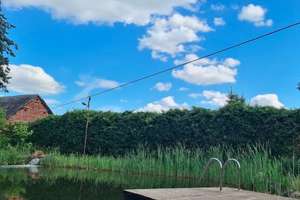 Sehr gepflegter Vierseitenhof. Saniert. Umfangreiche Nebengebäude. Großer Pool. – Die vollständige Adresse der Immobilie erhältst du vom Anbieter., 39629 Meßdorf – Vorschaubild 4