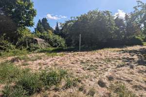 Idyllisches Wohnen in ruhiger Lage von Dassendorf – Die vollständige Adresse der Immobilie erhältst du vom Anbieter., 21521 Dassendorf – Vorschaubild 4