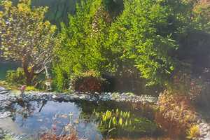 1 Fam- Haus mit Einliegerwohnung, traumhaftes Zuhause im Kochertal – Naturidylle mit Komfort – Lutzenbrunnen 40, 74676 Hohenlohekreis – Vorschaubild 36