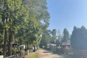 Sommerhaus am See - 60 Minuten von Berlin – Teltow-Fläming (Kreis) – Vorschaubild 17
