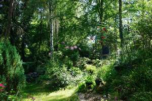 Einmaliges Sackgassengrundstück am Naturschutzgebiet - Bungalow direkt am Waldrand - provisionsfrei – Die vollständige Adresse der Immobilie erhältst du vom Anbieter., 21149 Hausbruch, Hamburg – Vorschaubild 8