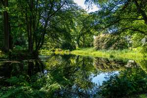 Kernsanierte Wohnung, eingebettet im hauseigenen Park mit Teich, Tennis- und Spielplatz – Die vollständige Adresse der Immobilie erhältst du vom Anbieter., 22587 Nienstedten, Hamburg – Vorschaubild 18