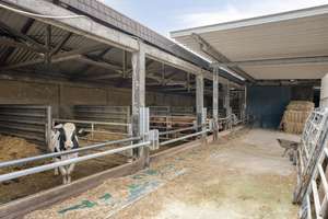 Bauernhof mit Stallungen, Scheunen und über 9.000 m² Grundstück in Heinsberg-Hülhoven – Die vollständige Adresse der Immobilie erhältst du vom Anbieter., 52525 Heinsberg – Vorschaubild 38