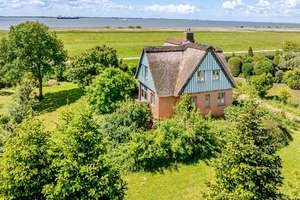 Rarität - Warfthaus direkt an der Elbe – Die vollständige Adresse der Immobilie erhältst du vom Anbieter., 25348 Glückstadt – Vorschaubild 2