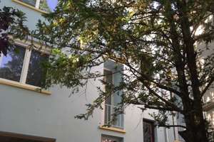 Gepflegte 2-Zimmer-Wohnung im 3. OG in Karlsruhe – Stephanienstr. 84, 76133 Innenstadt-West, Karlsruhe – Vorschaubild 2