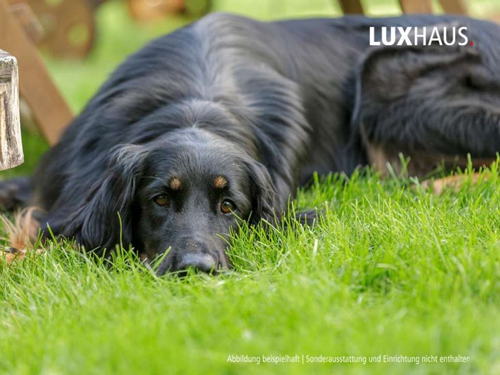 Immobilie in Sipplingen - Ihr neues Zuhause ?! In der Nähe zum Bodensee?! - Bild 0