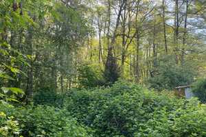 Neues Projekt Stadtvilla in Glienicke – Oberhavel (Kreis) – Vorschaubild 1