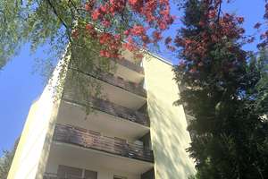 Kleines + modernes Appartement mitten im Wald!