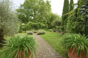 Stillvolles Anwesen mit Gartenidylle - Modern saniert zum Wohnen und Arbeiten – Die vollständige Adresse der Immobilie erhältst du vom Anbieter., 50189 Elsdorf – Vorschaubild 8