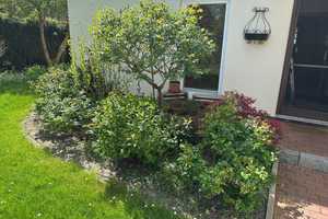 *** Charmantes Zuhause mit Holzofen, Garage, Wintergarten und vieles mehr *** – Harburg (Kreis) – Vorschaubild 19