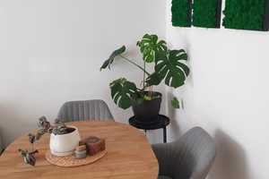 MODERNE ETAGENWOHNUNG ZUM WOHL-LEBEN – Hagen – Vorschaubild 10