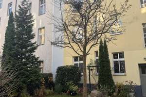 Dachgeschosswohnung mit Sonnenbalkon in ruhiger Lage – Kurfürstenstraße 34, 12105 Mariendorf, Berlin – Vorschaubild 21