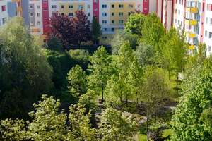 Sommer 2026 - Umzug gewünscht? Frisch renovierte 2-Raum Wohnung mit Balkon und Aufzug! – Pfaffensteinstraße 11, 4207 Lausen-Grünau, Leipzig – Vorschaubild 7