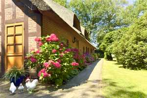 Idyllisches Reetdachhaus auf Traumgrundstück – Osterholz (Kreis) – Vorschaubild 16